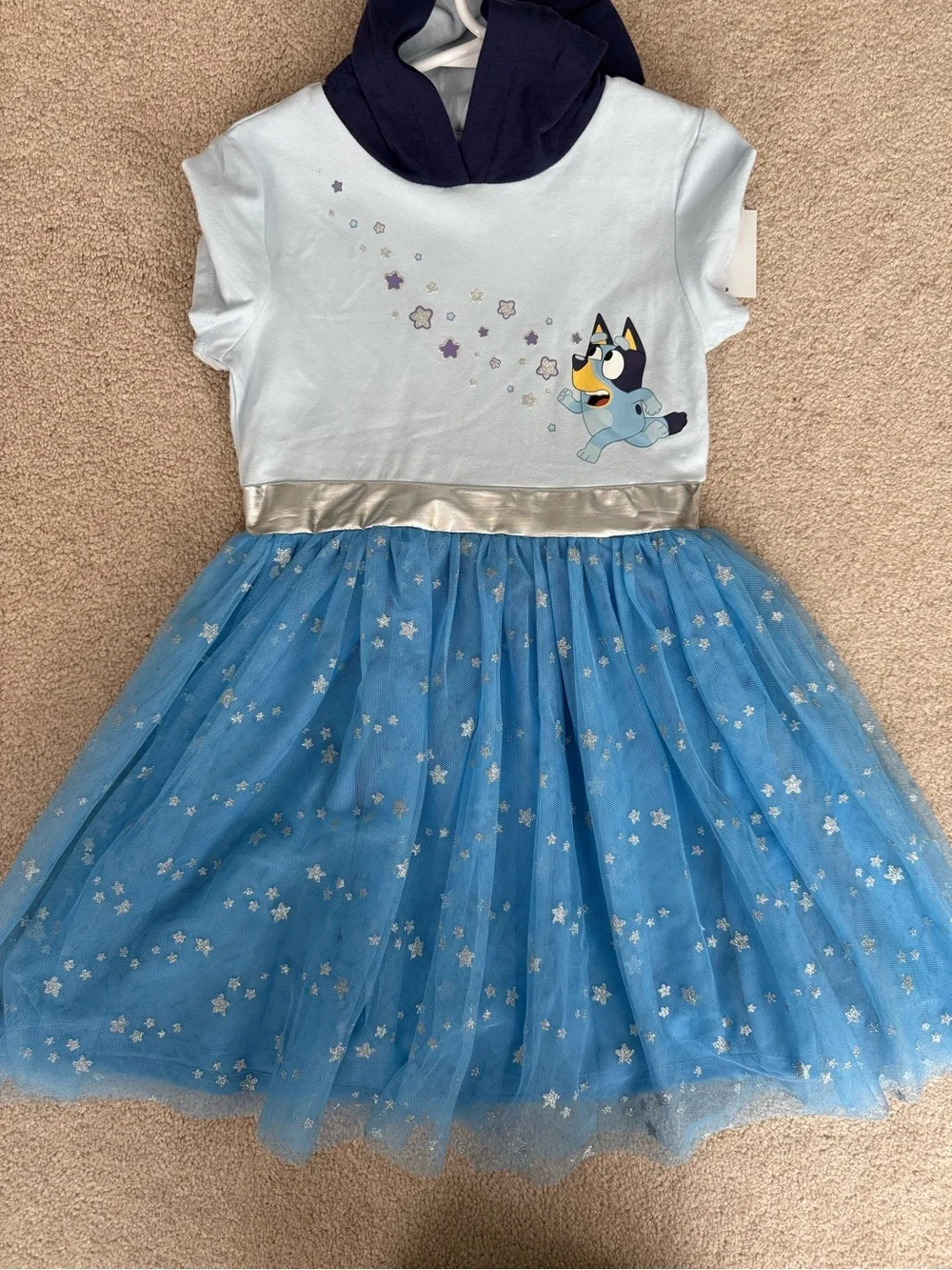 Bluey cute costume
